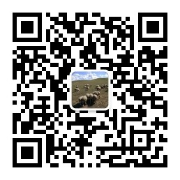 信息科技研究公众号